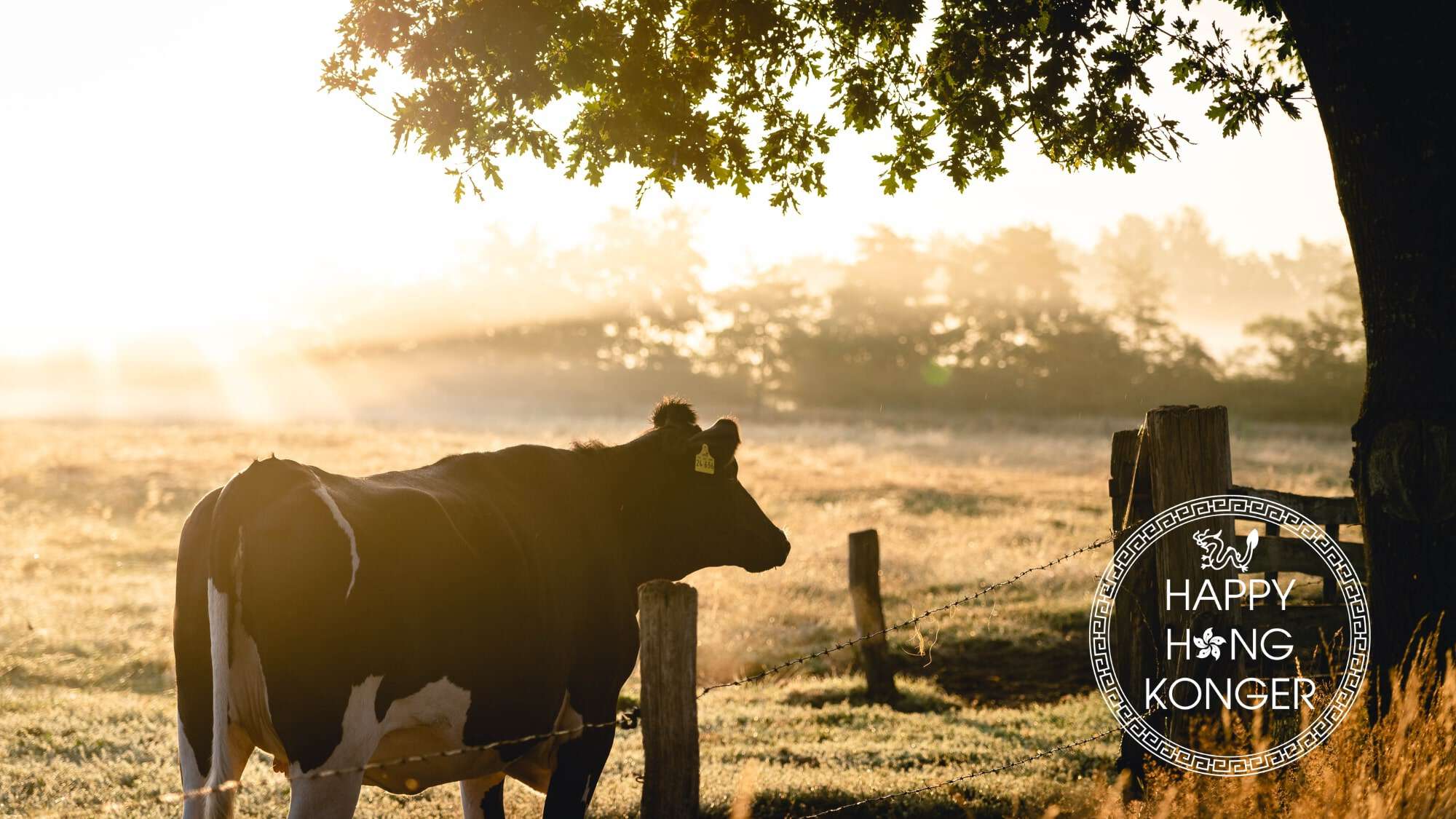 10 Great Local Farms to Visit in Hong Kong For the Weekend