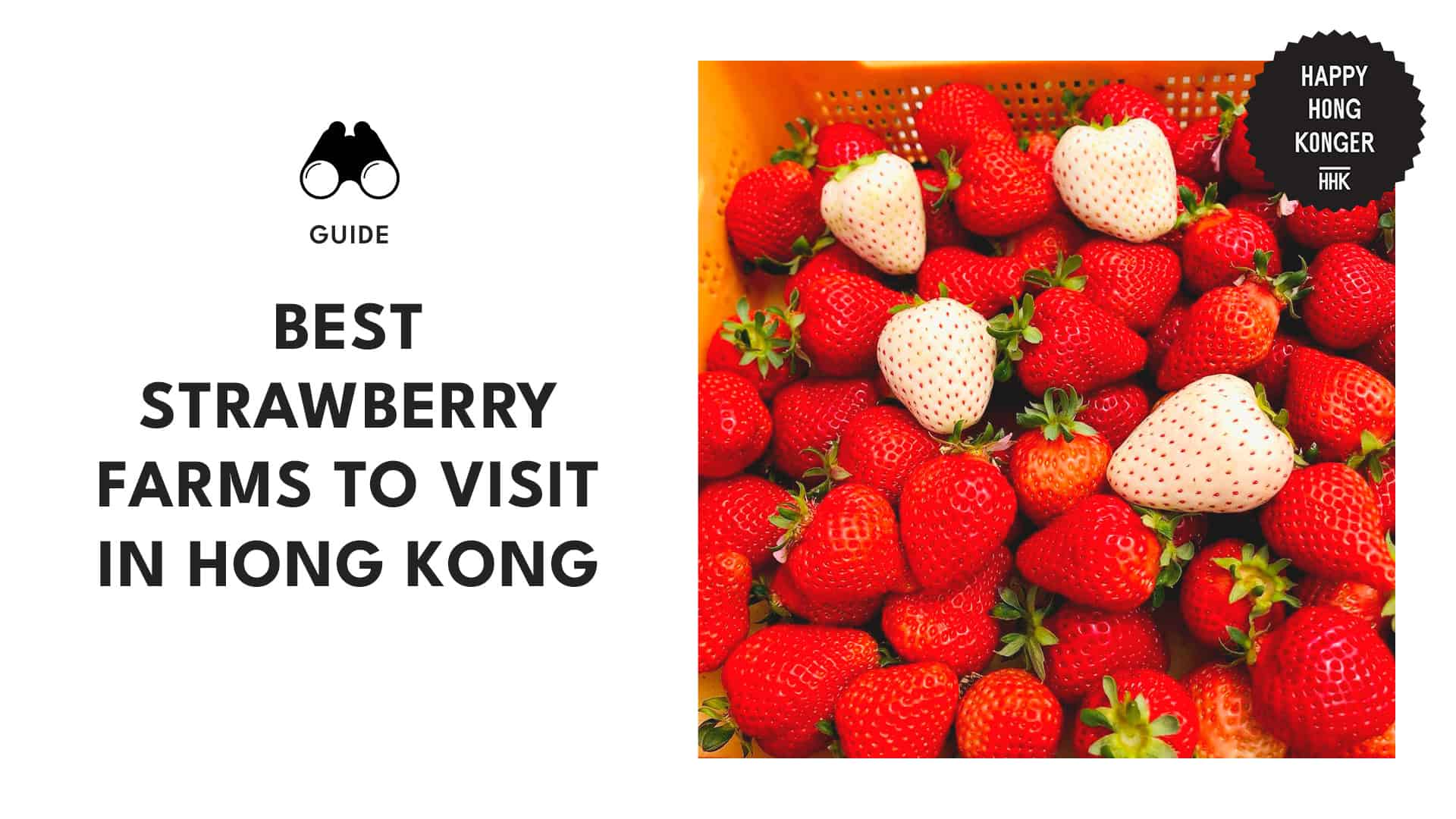 6 Best Strawbery Farms to Visit in Hong Kong