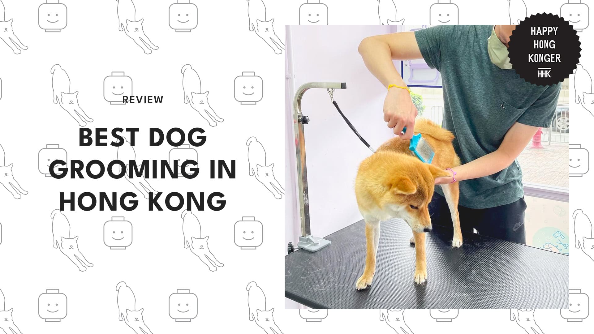 After 3 Months of Testing Rating the 5 Best Dog Grooming Services in Hong Kong