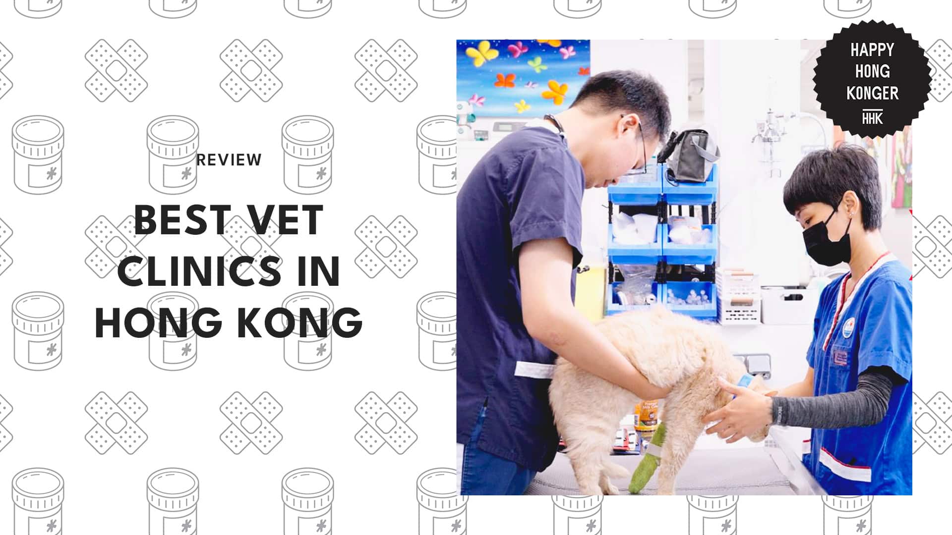 Happy Hongkonger’s Pet-Lovers Pick the 5 Best Vet Clinics in Hong Kong