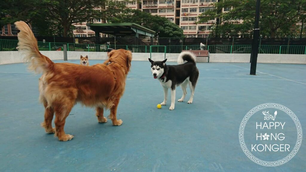 Man Cheong Street Park Pet Garden's Homepage