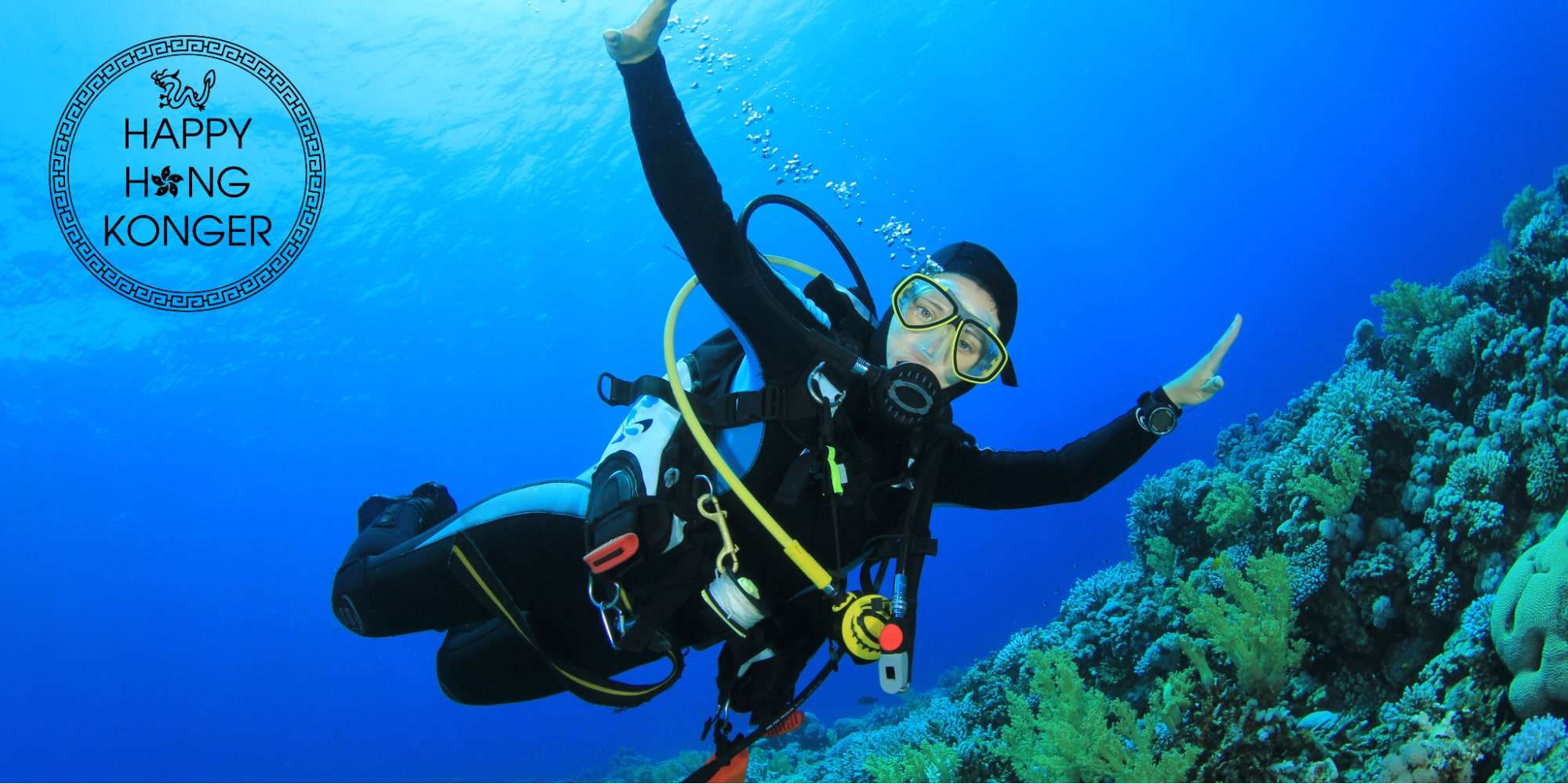 Plunge Into Paradise Where can you dive in Hong Kong