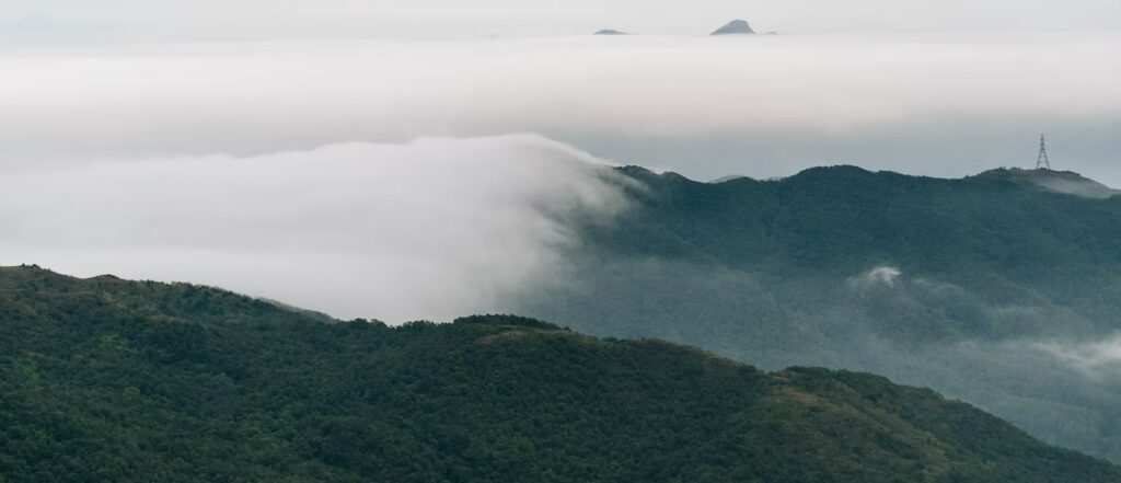 Tai Mo Shan Country Park