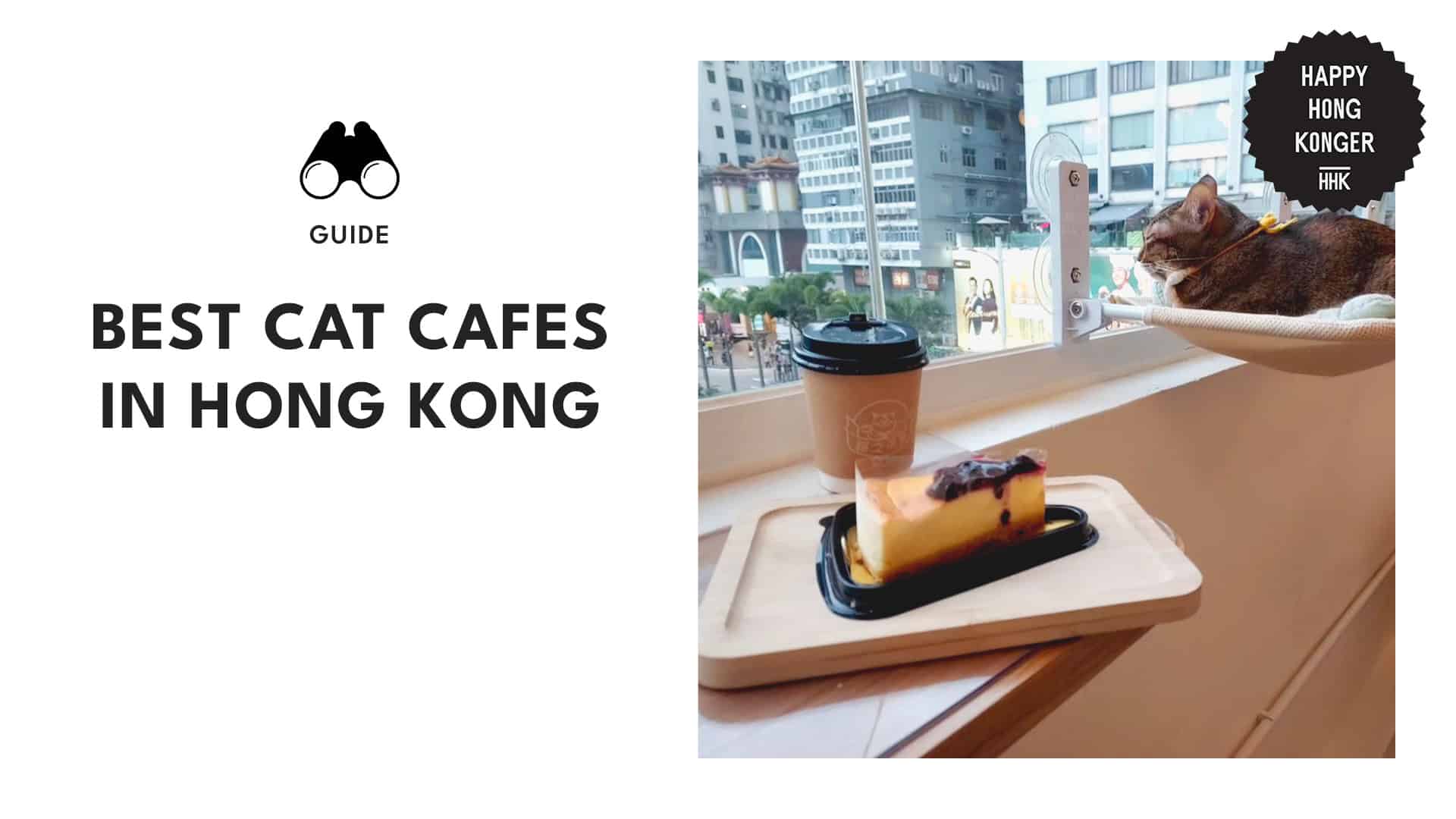 THE Purrfect Getaway 6 Must-Visit Cat Cafes in Hong Kong