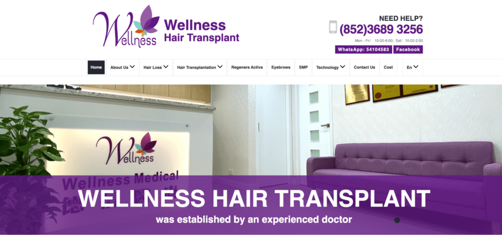 Wellness Hair Transplant Homepage